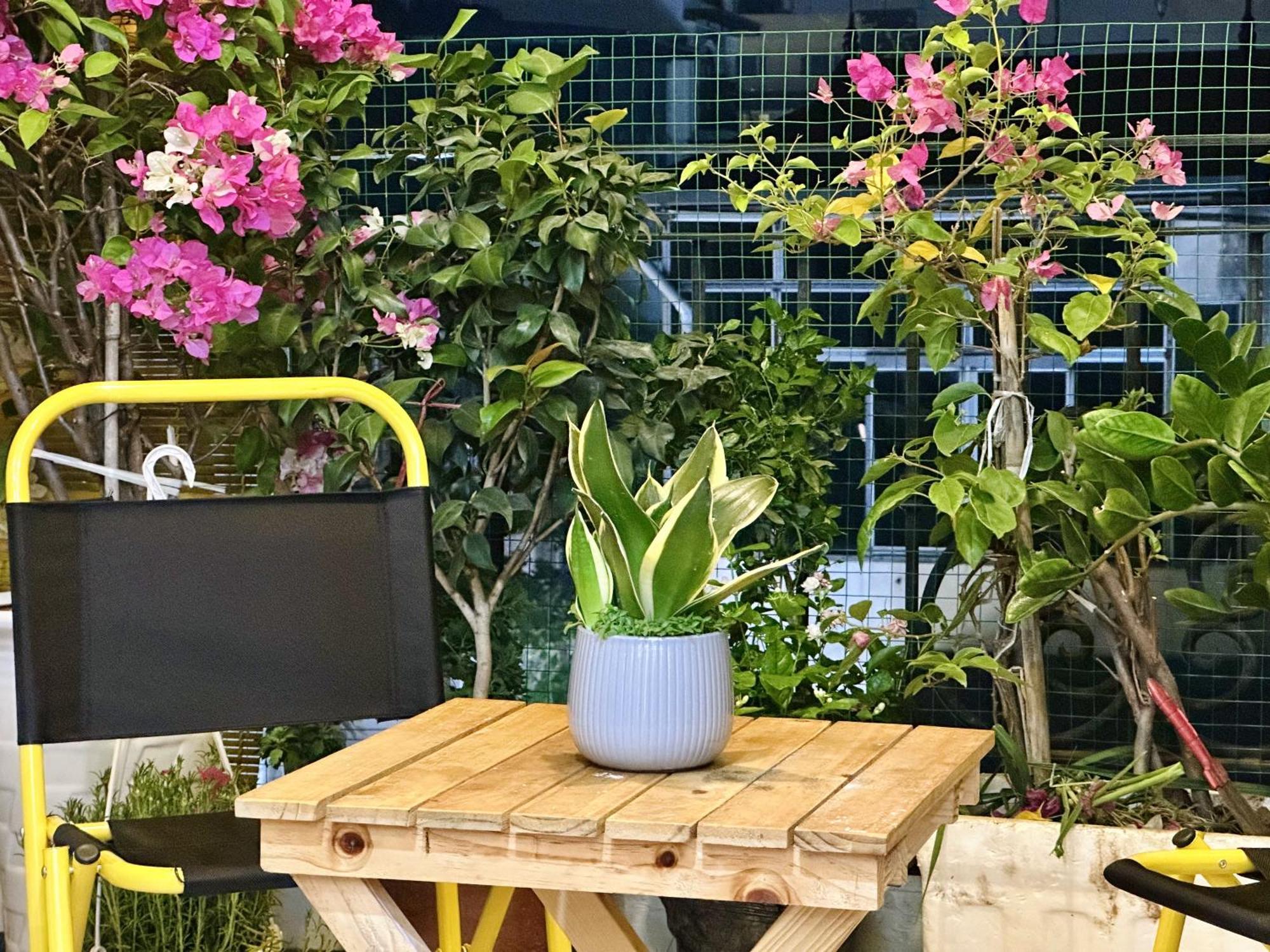 Vietnam Travelers 1 With Private Balcony Homestay Hanoi